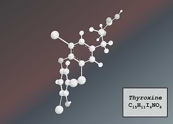 Thyroxine