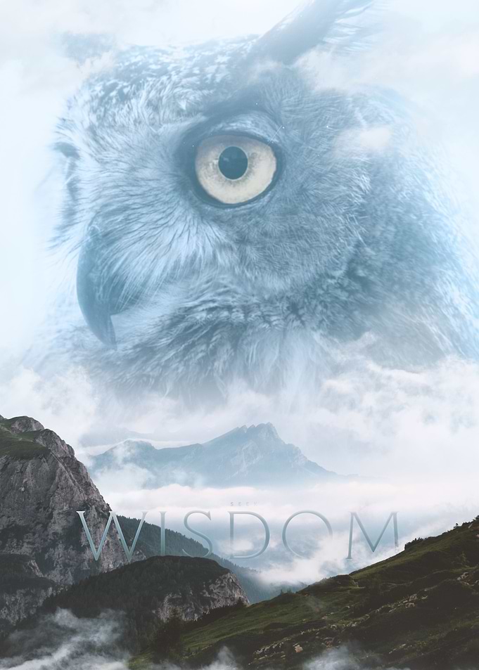 Seek Wisdom