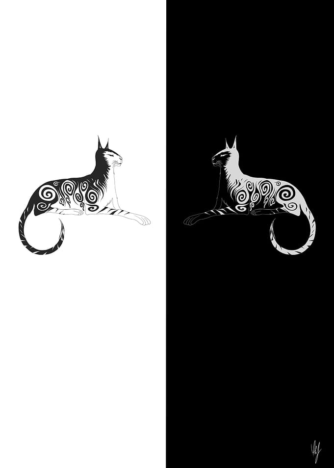 Cats in Distant Mirrors