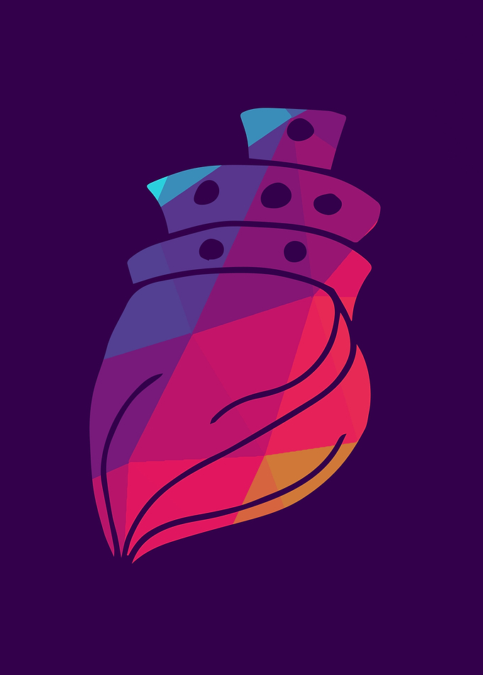 Rainbow Polygon Shell 11
