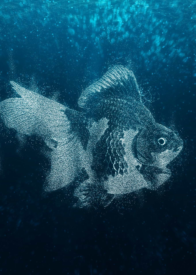 Decorative fish
