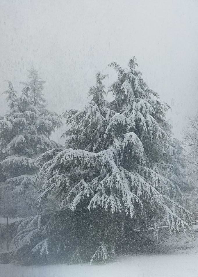 Winter Mood