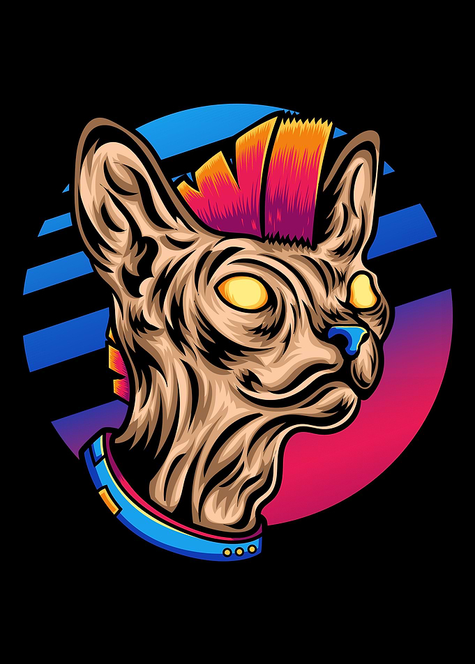Sphynx Cat Rocks