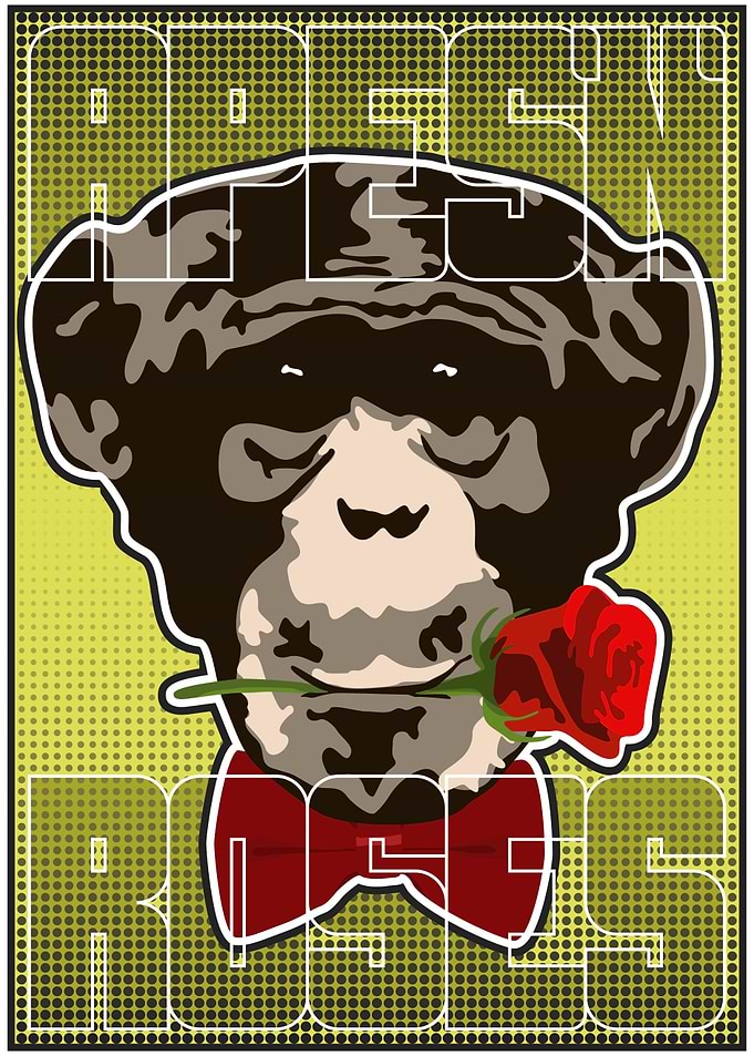 Chimp and Rose