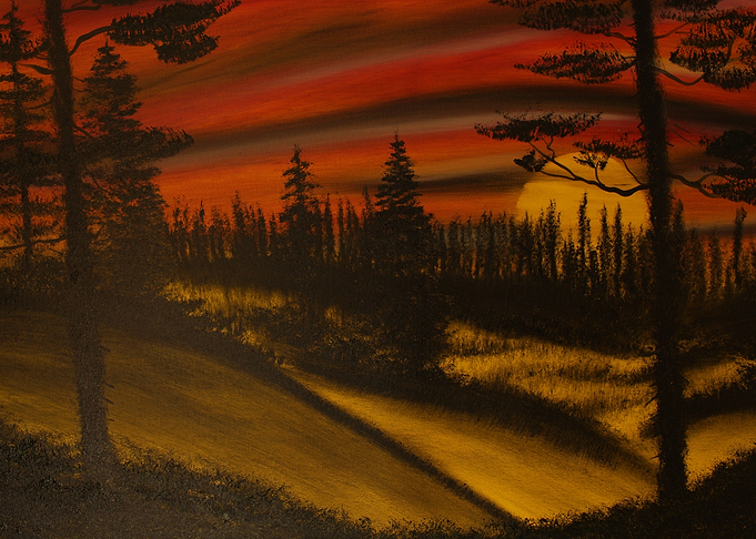 Evergreens at Sunset