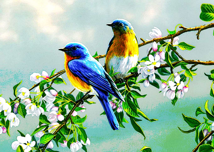 Brids Digital Wtercolour