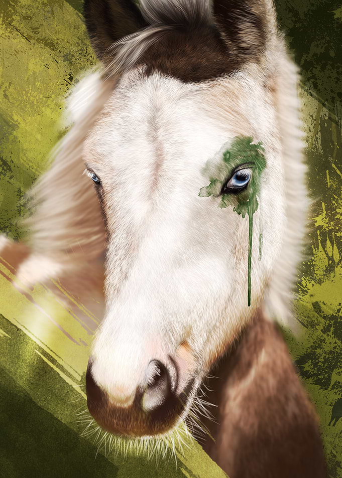 Foal Horse