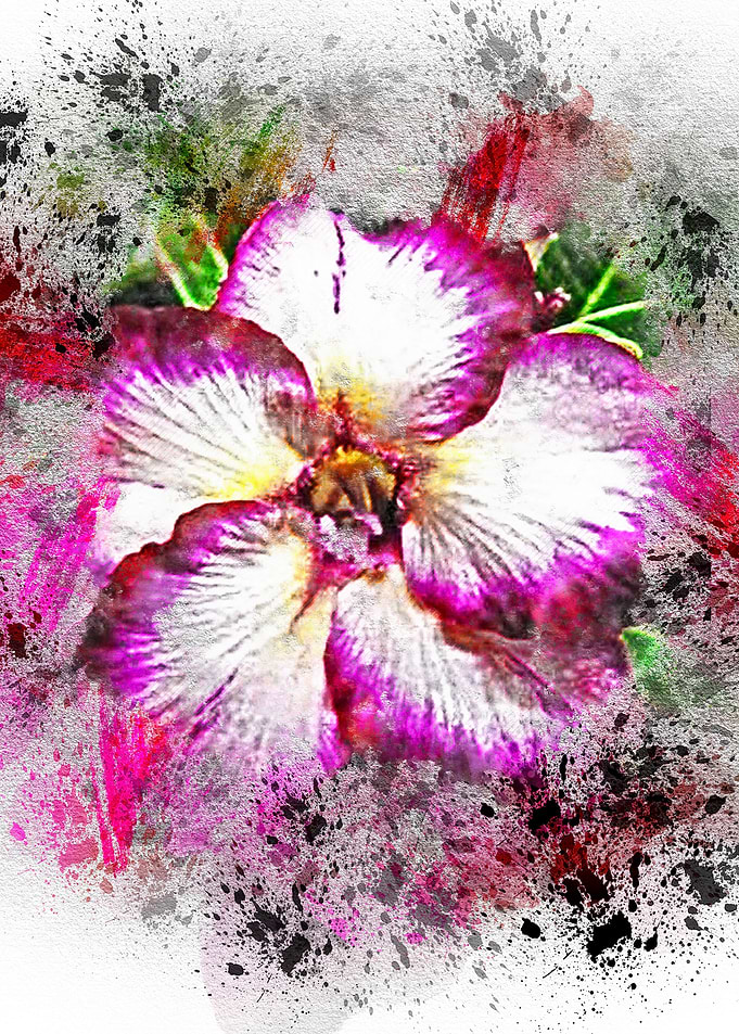 Blooming flower