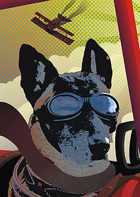 Aviator