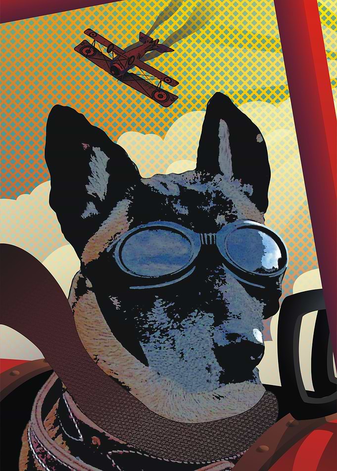 Aviator