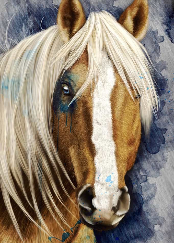 Horse Haflinger