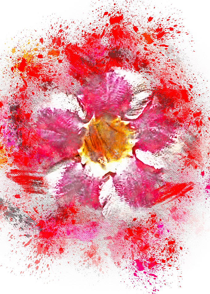 Beautiful blooming flowers