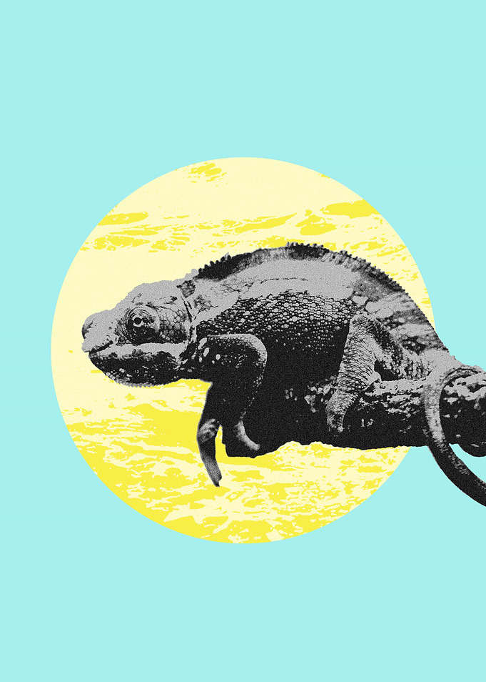 Chameleon