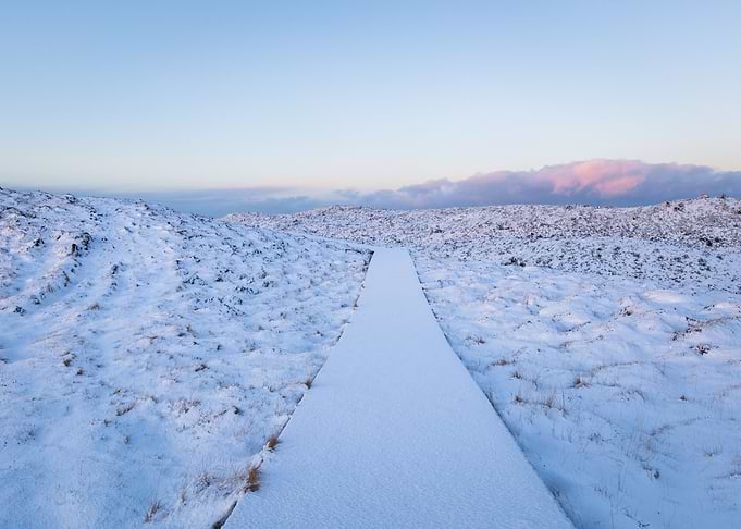 Path forward