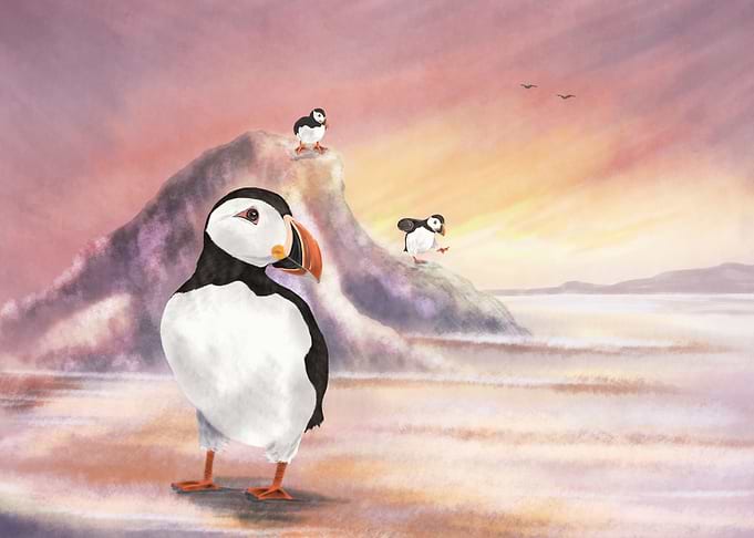 Puffins