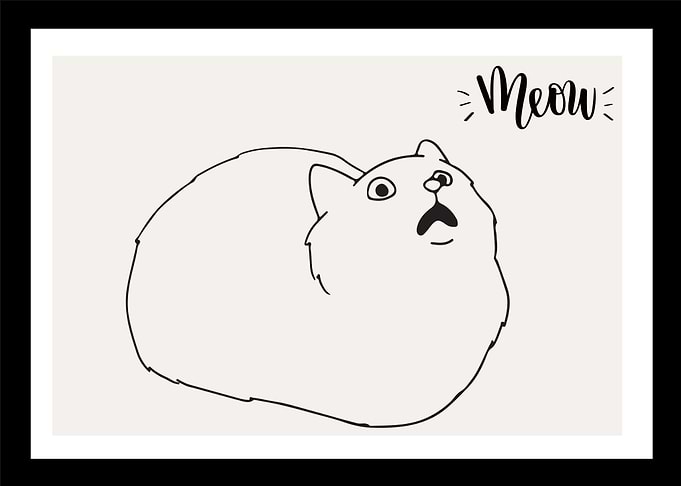 6 meow