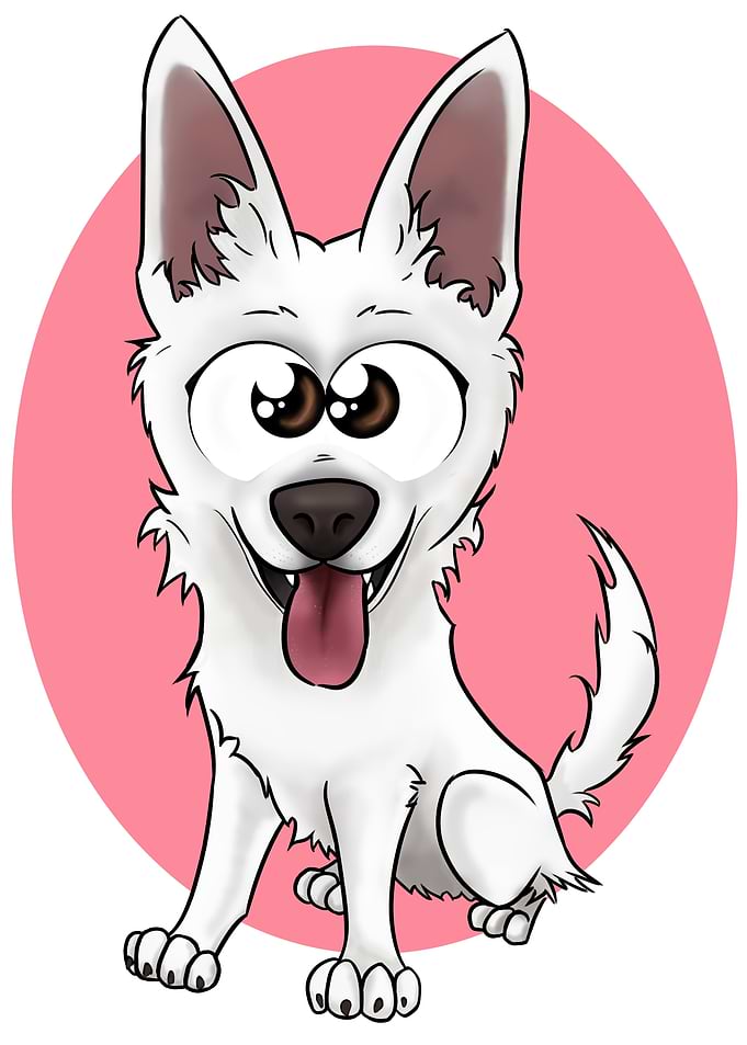 Caly The White Shepherd