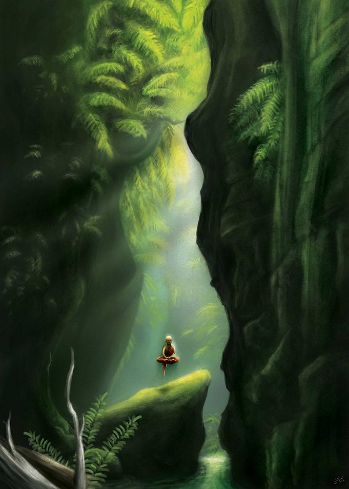 The Monk and Ferns