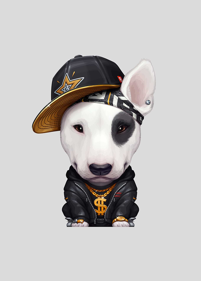 Bull Terrier Hip Hop Star