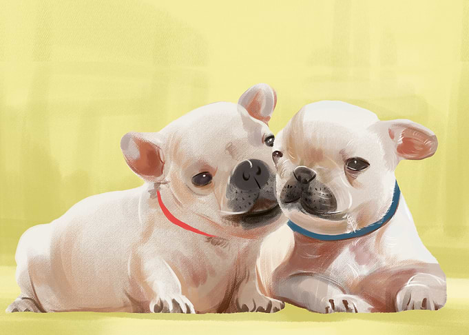 Love Dogs Lead