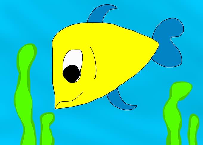 Happy FIsh