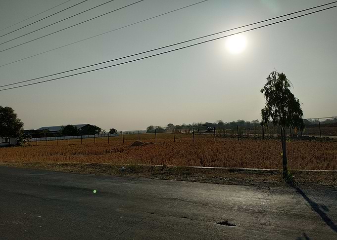 beautiful rice field views