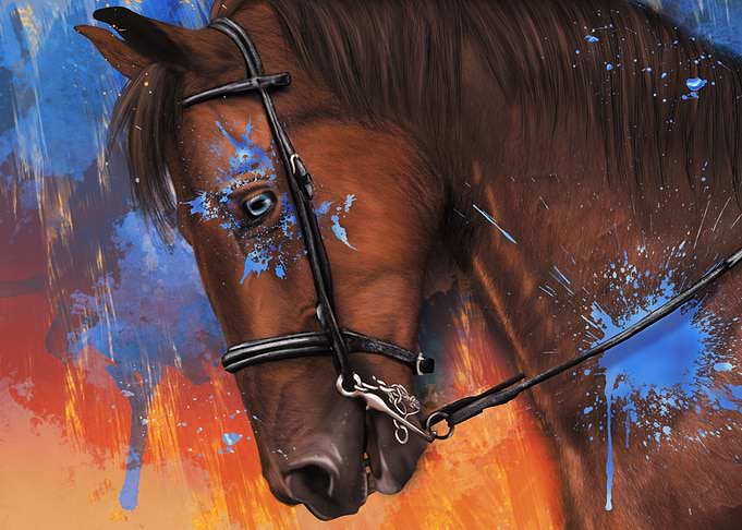Horse multicolor