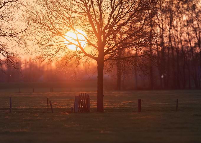 Idyllic fence