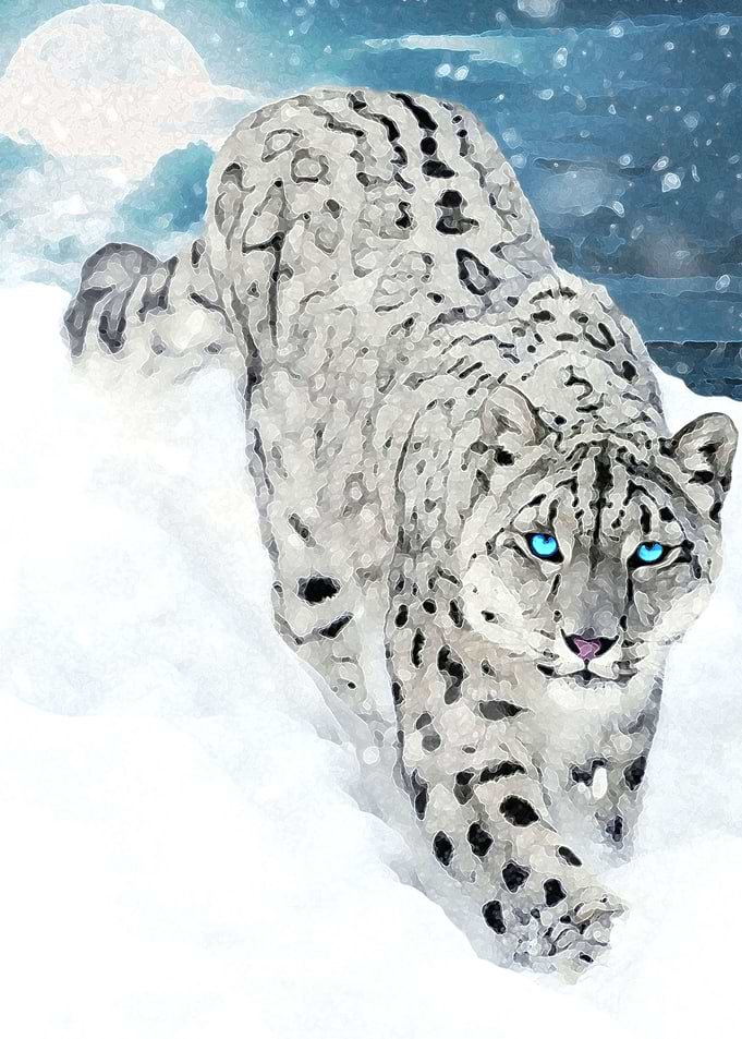 Snow Leopard