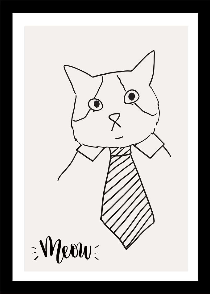 11 meow