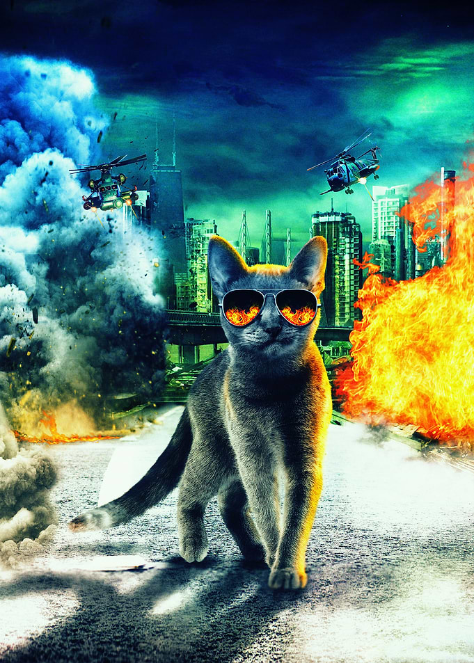The Cute Cinematic Cat V02