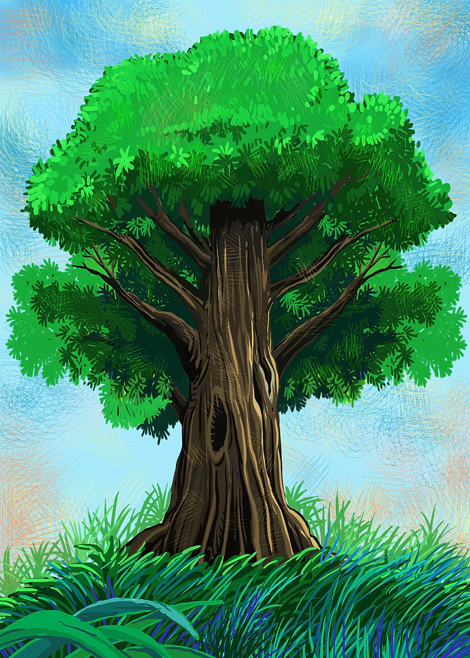 The old rain forest tree