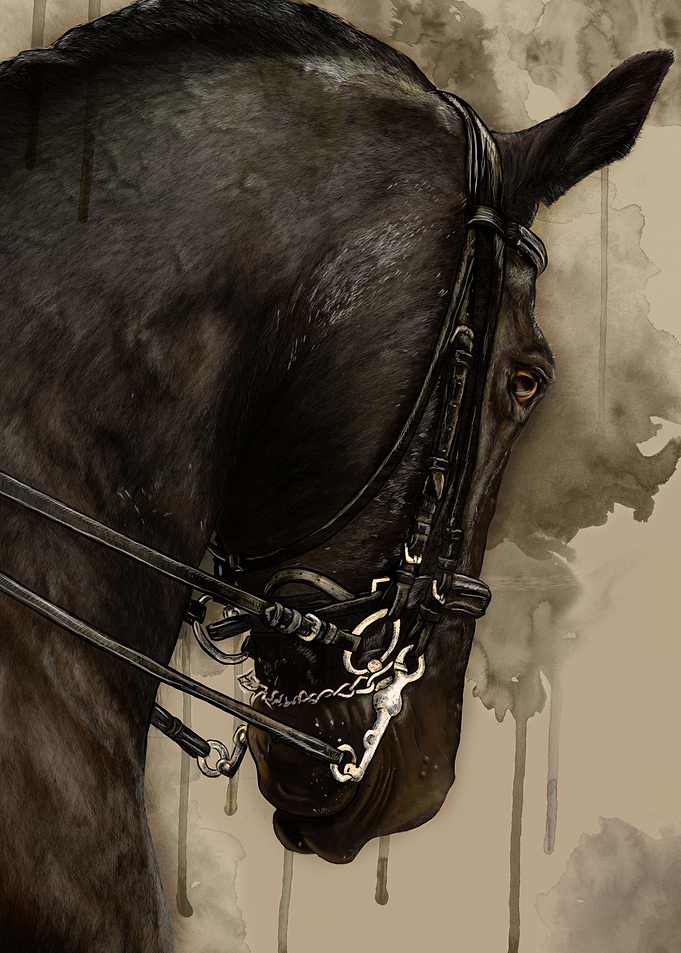 Frisian Horse