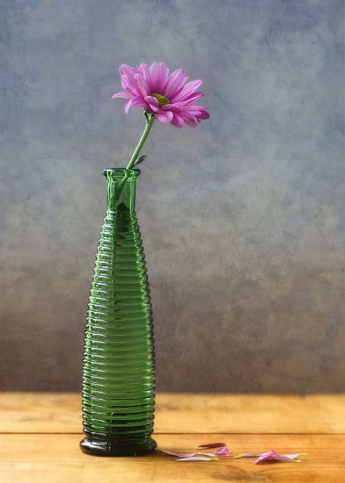 Summer Flower