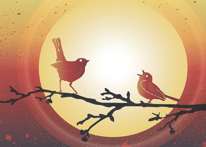Autumn Birds