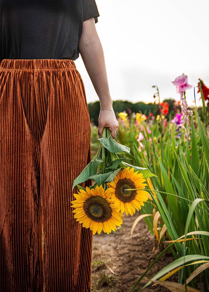 Sunflowers