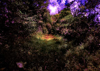 Rainbounce II