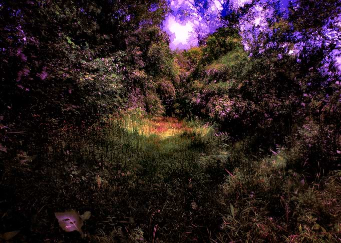 Rainbounce II