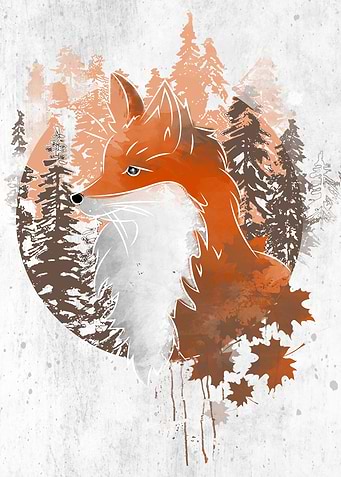Orange Fox