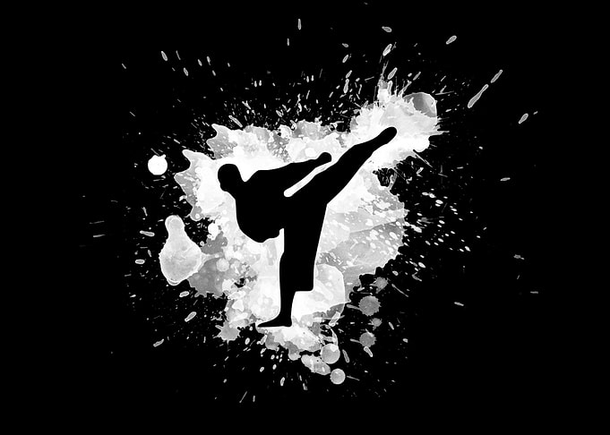 Martial artist