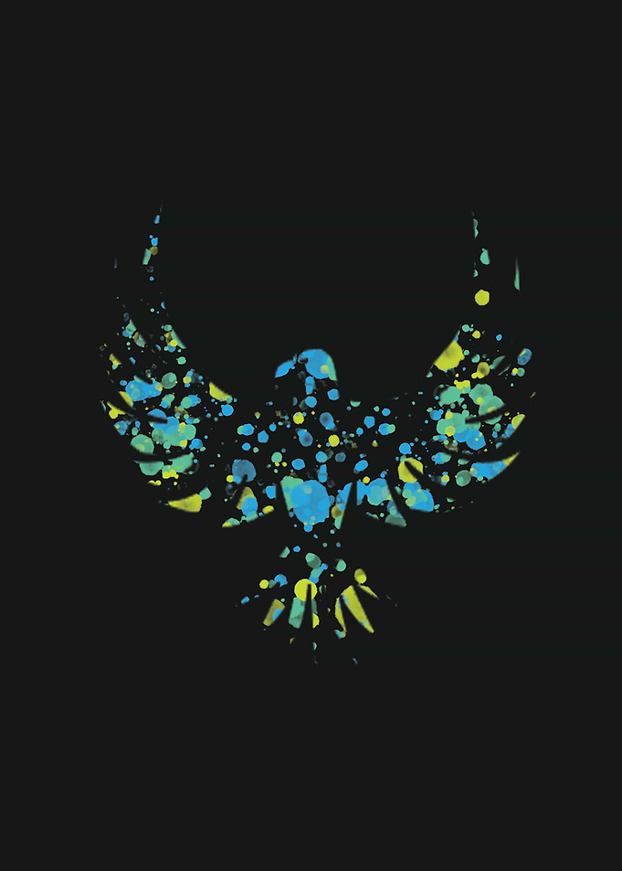 colorfully bird art