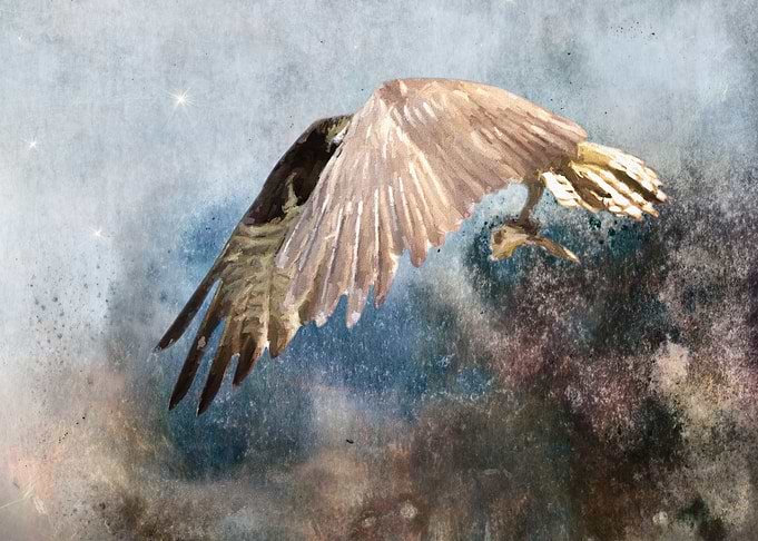 Above the Storm