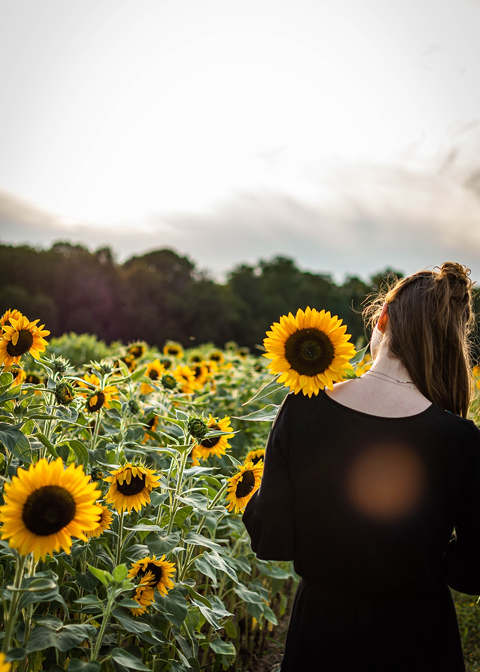 Girl in a sunflowerfield