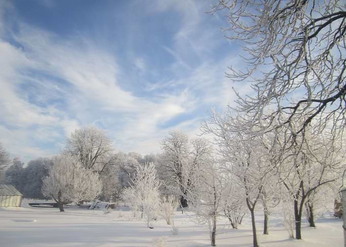 Winter paradise