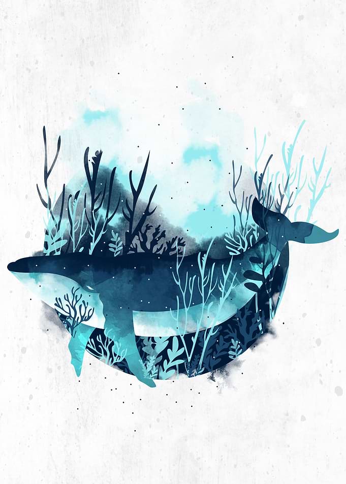 Free Whale
