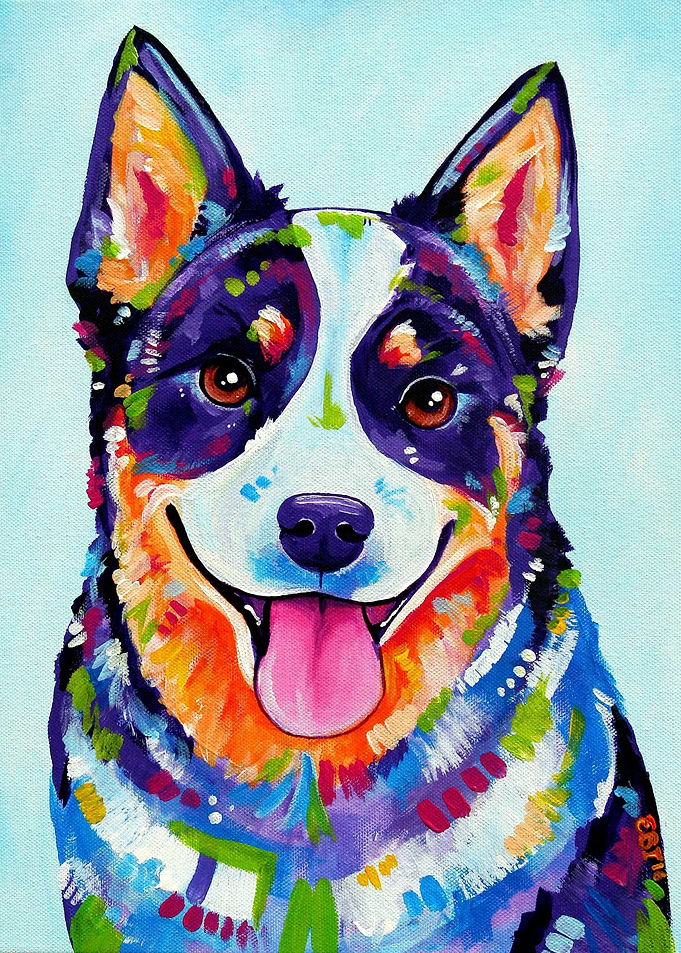 Australian Cattle Dog