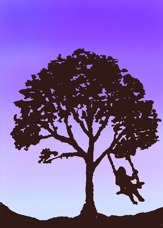 Playing in the tree