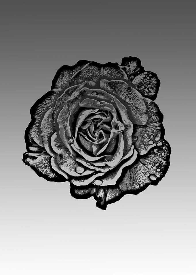 Abstract flower