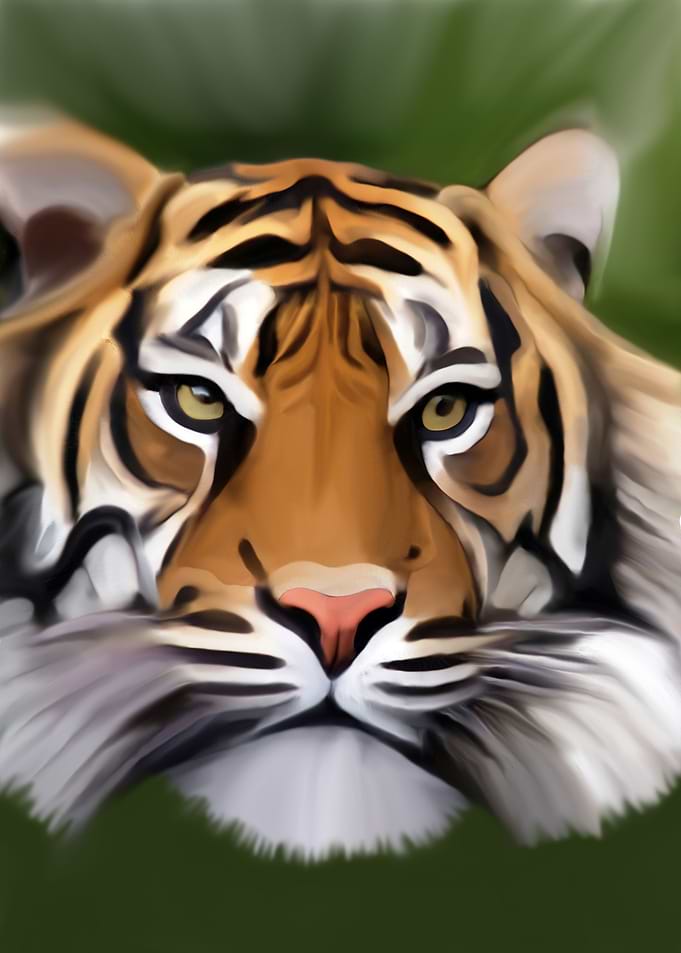 Tiger 2