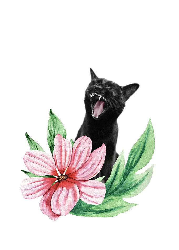 The Yawining Cat